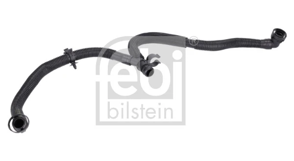 Hose, crankcase ventilation
